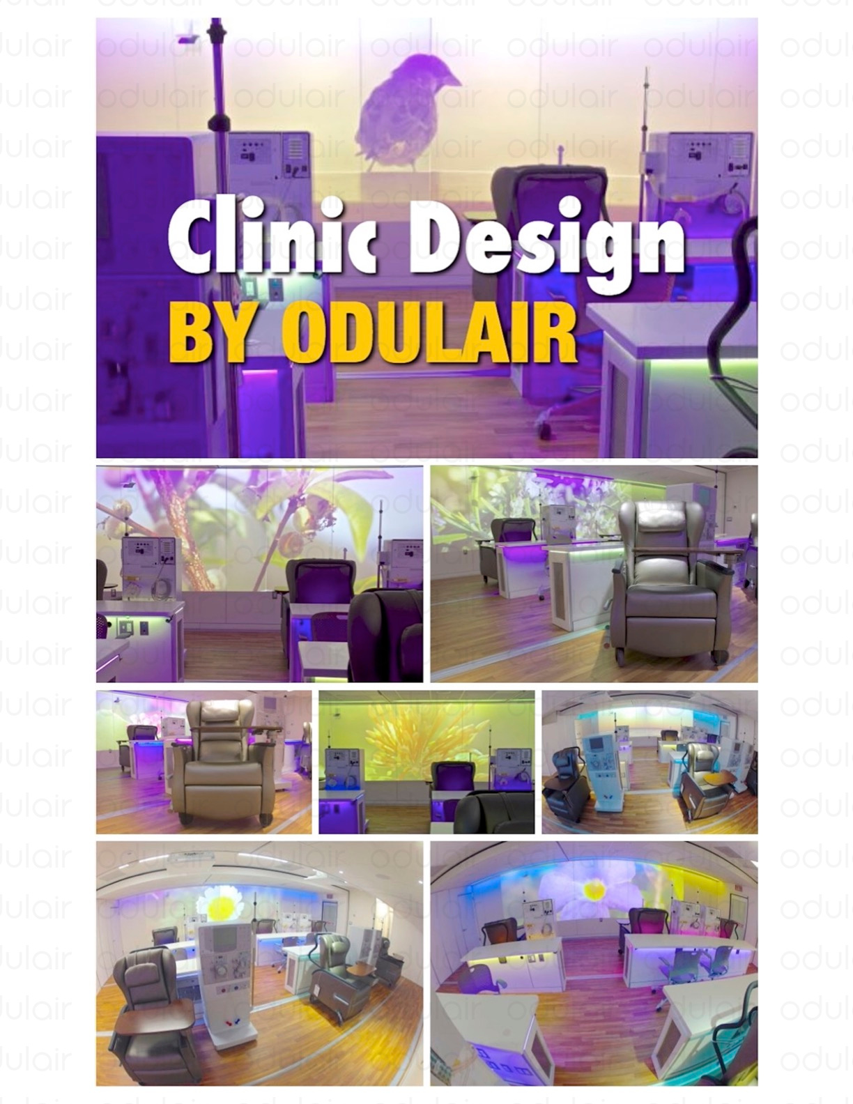 MOBILE DIALYSIS VAN Mobile Health Vans for Sale